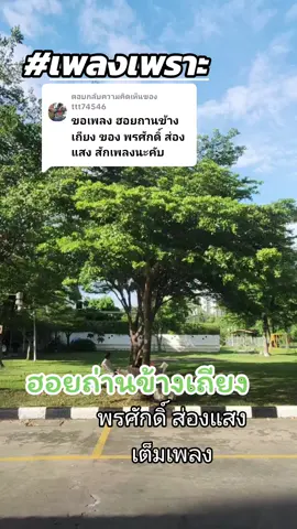 ตอบกลับ @ttt74546 #ลูกทุ่งเพลงเพราะ #ฮอยถ่านข้างเถียง #พรศักดิ์ส่องแสง #เพลงเพราะโดนใจ #เพลงเพราะ 