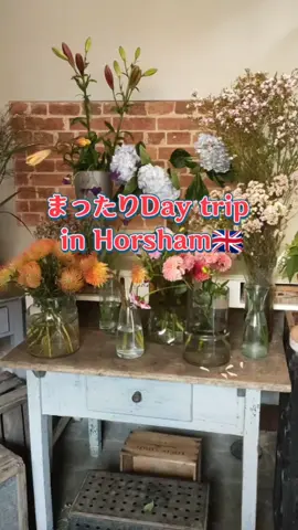 イギリス南部の街でDay trip 🇬🇧　#イギリスvlog #イギリス #国際結婚 #イギリス生活 #horsham 