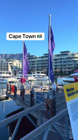 #🇿🇦 