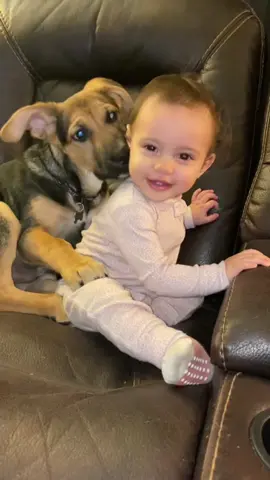 The sweet friendship ❤️#dog #baby #Love #pet #cute #friends #lovestory #dogsoftiktok #foryou #usa🇺🇸 