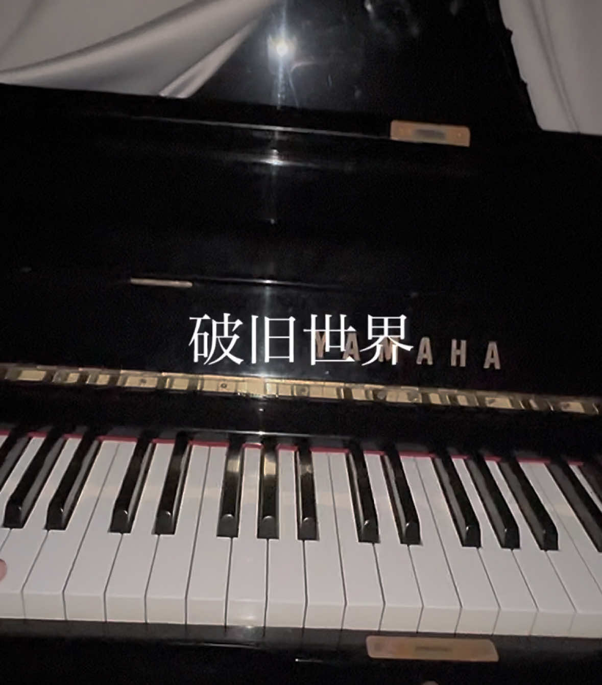 昨日ギター買いました🎸#破旧世界 #耳コピ #リクエストください 