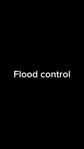 flood control (Philippines) #floodcontrol #mentality #core #meme 