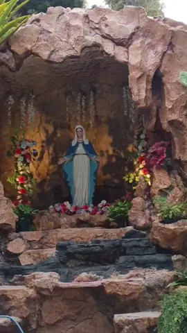 Mama Bunda Maria Peluk Terus ee🥺 #fyp #katolikku_keren #katolikkuindah #goamaria #bundamariadoakanlahkami 