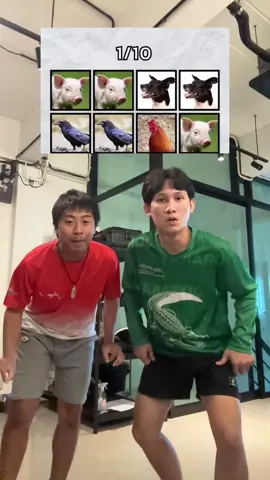 จะตายเอา!! 😂 @นุ #จืดจาง #วัยรุ่นคำมี #หมูหมากาไก่ 