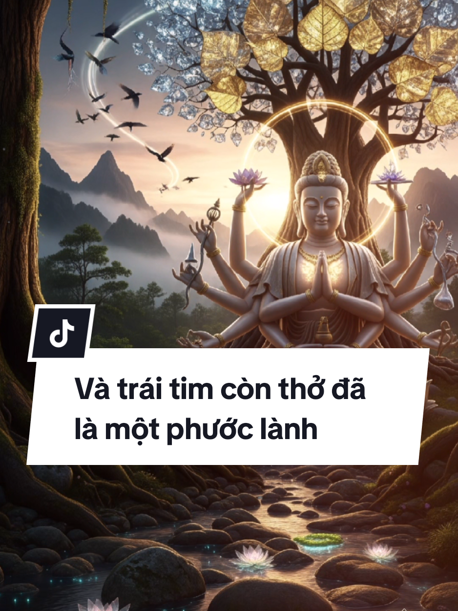 Hãy sống như chiếc lá, cứ việc mà xanh thôi. Không bận tâm hoa nở, rồi nghĩ mình thiệt thòi. Điều người ta đang có, chưa chắc là mình cần. Cớ sao phải so đo sao mình chưa như họ. Việc của hoa là nở, việc của lá là xanh. Và trái tim còn thở, đã là một phước lành. #tamtinhtaman  #songdep  #songtotmoingay #nhacphat #CapCut 