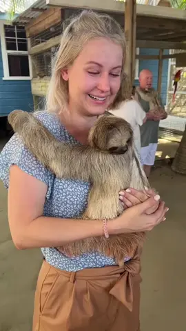 The Cutest Sloth Ever#fyp #sloth #funny #funnyvideos #animals 