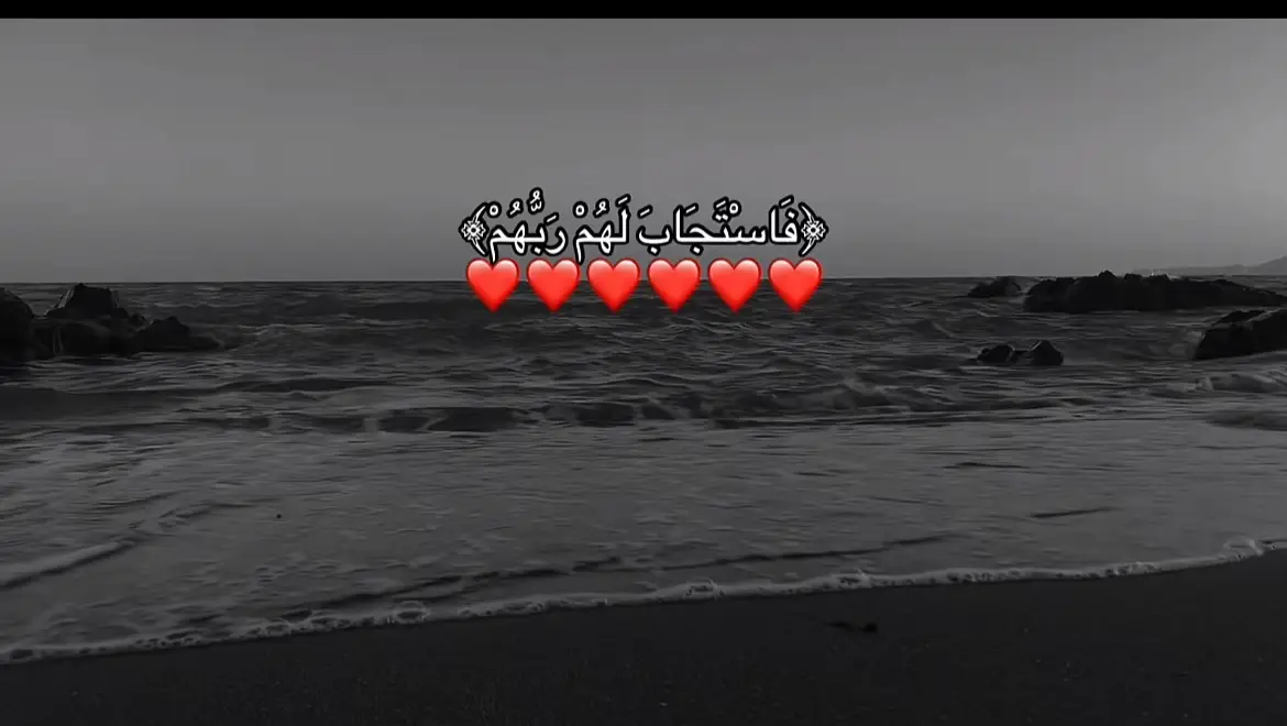 #foryou #سوريا🇸🇾 #fy 