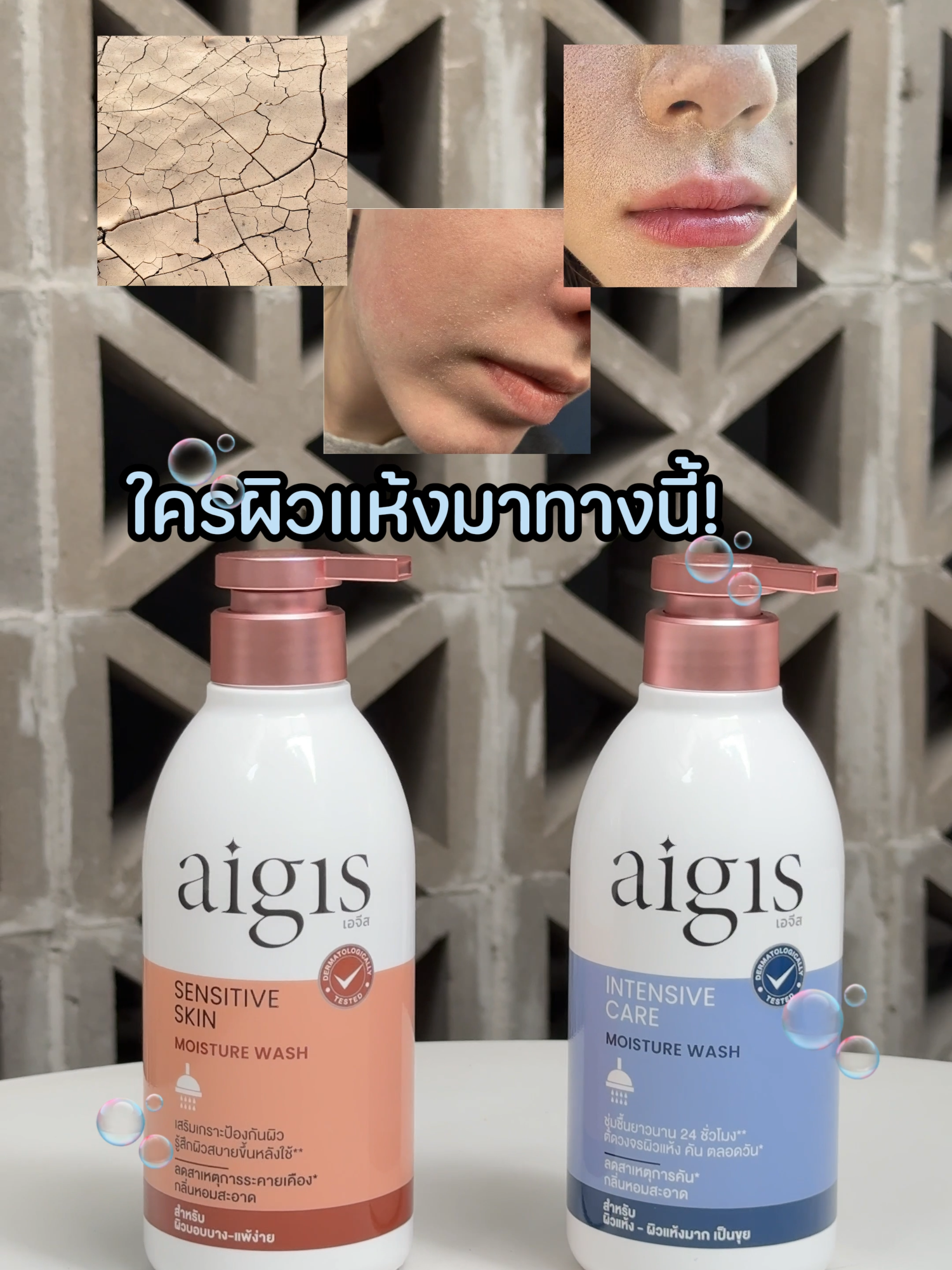 ใครเจอปัญหาผิวแห้งคันเป็นขุย  จบด้วย ครีมอาบน้ำ #เอจีส เลย! 🫧🛀🏻 . 1 แถม 1 เฉลี่ยขวดละ 109.50.- (ปกติราคา 219.-) 🛍️ ช้อปได้เลยที่📍CJ MORE NINE BEAUTY 🩷 📆 ระยะเวลาโปรโมชัน ตั้งแต่วันที่ 25 กันยายน 2568 - 1 ตุลาคม 2568 . #NINEBEAUTYTBeautyDestination  #อาณาจักรครีมซองนายน์บิวตี้ #ครีมซองซีเจมอร์ #CJMORE #NINEBEAUTY  #ซีเจมอร์ #นายน์บิวตี้