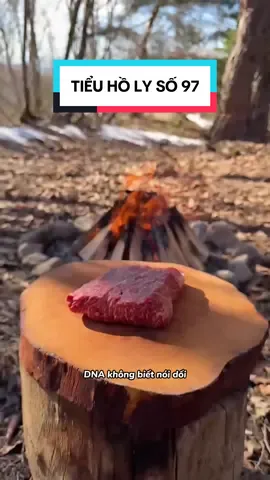 TIỂU HỒ LY SỐ 97 full // YTB: TIỂU HỒ LY🎀 #tieuholy🎀 ##truyệnaudio #audio #tieuholyfull 