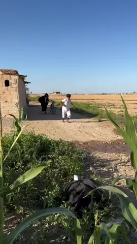 في عرس عد خوالك#😂😂 #ايام_زمان #سوريا_تركيا_العراق_السعودية_الكويت_عمان #الشعب_الصيني_ماله_حل😂😂 