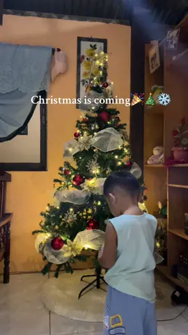 Ber-months❤️ #christmas #christmastree #bermonths #christmasiscoming  @iamkeindi 