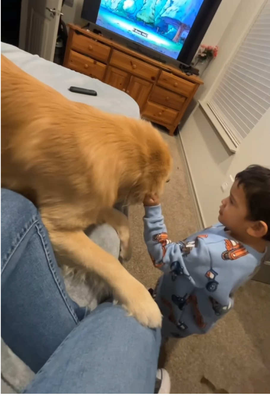 The dog can’t stand my kids anymore #funny #fyp #dog #funnydog #funnyvideos #doglover #foryoupage #usa 