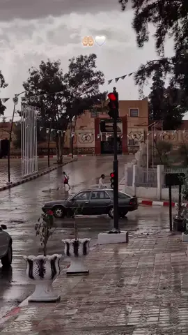 #الابيض_سيدي_الشيخ 