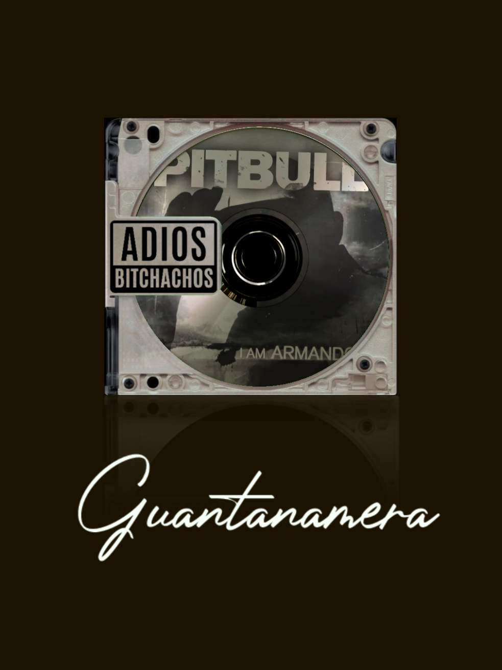 guantanamera>> #fyp #foryou #lyrics #songs #viralvideo 