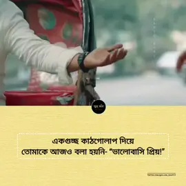 তোমাকে আজও বলা হয়নি- 