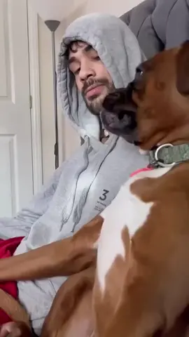 How a dog reacts when you kiss it😂😘🥰#dogsoftiktok #tiktok #fypシ #dog #funnydog 