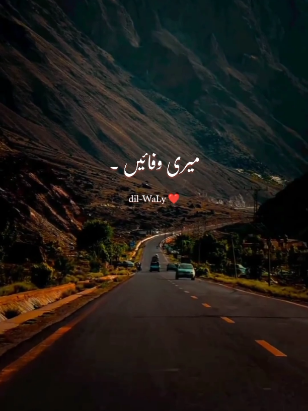 meri wafayen yaad karogy 💔😥  #90 #song #dilwaly #foru #fyp 