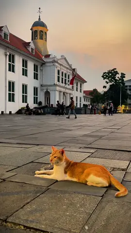Kota Tua Jakarta. Videonya boleh kalian ambil buat bahan content dll, di izinin #mediawb #fyp #jakarta #kotatua #foryoupage 