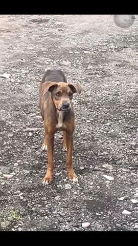 Hệ điều hành mới hả ní :))