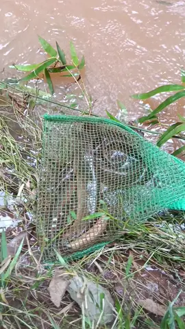 không móm nhà m.n🥰