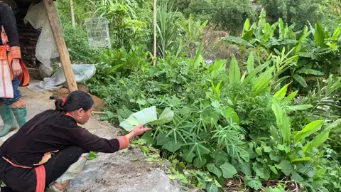 #canhdeplaichau❤️