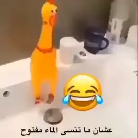 عشان ما تنسى الماء مفتوح#☕️☕️🎵🎧💃💃😝🤣🤪💃🤘 #لايك_متابعه_اكسبلور #☕️☕️🎵🎧💃💃😝🤣🤪💃🤘 #شعب_الصيني_ماله_حل #☕️☕️🎵🎧💃💃😝🤣🤪💃🤘 