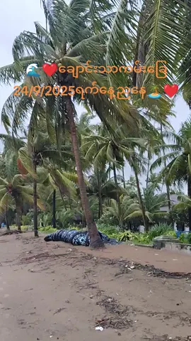 #24 /9/2025 #ချောင်းသာကမ်းခြေ 