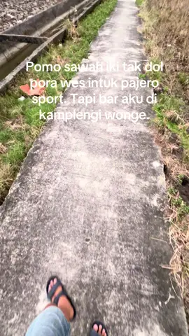 #fyp #viral #fyppppppppppppppppppppppp #petanimuda 