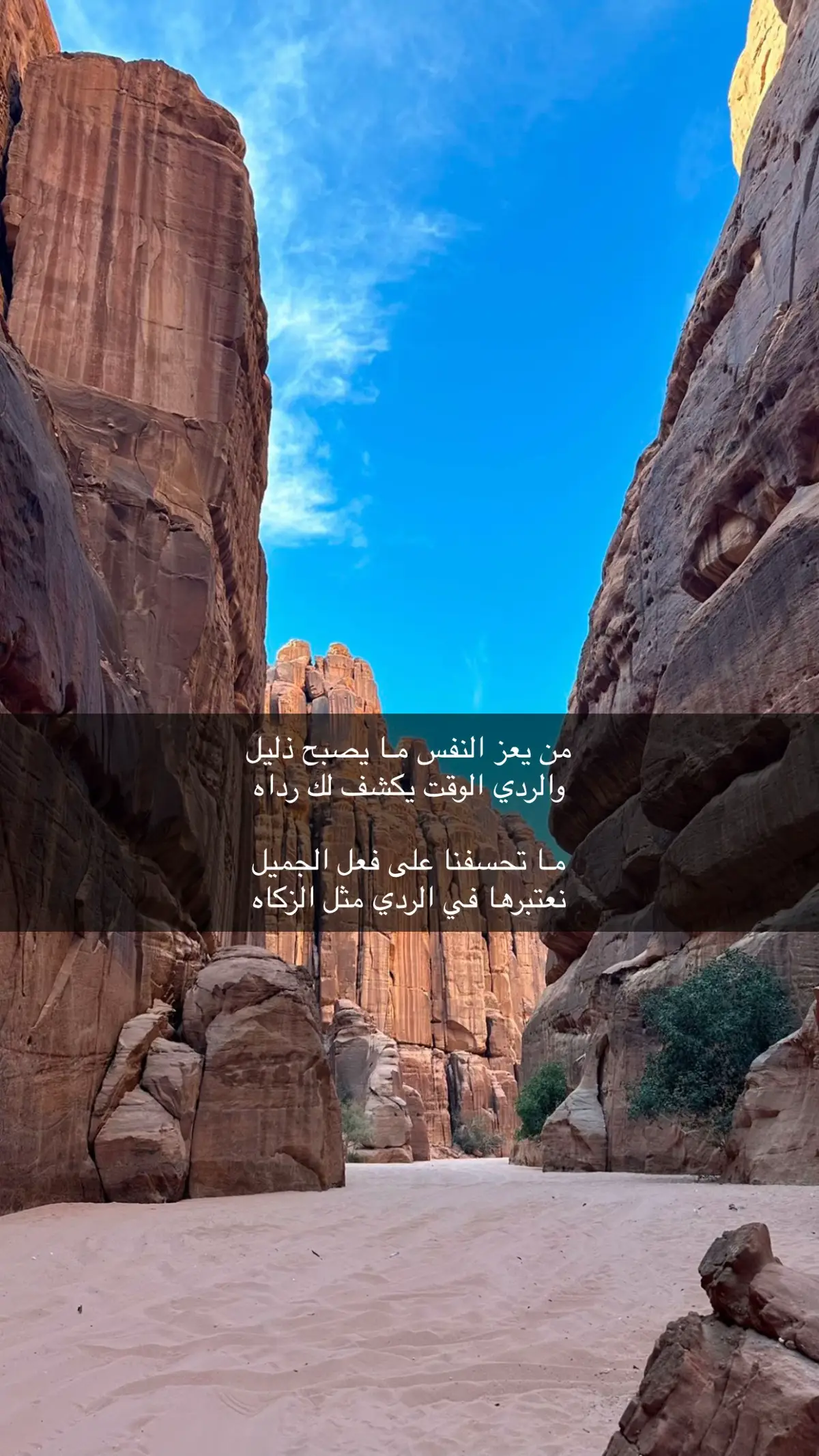 #اكسبلورexplore #قصايد_شعر #حكم #عزة_النفس #مساء_الخير 