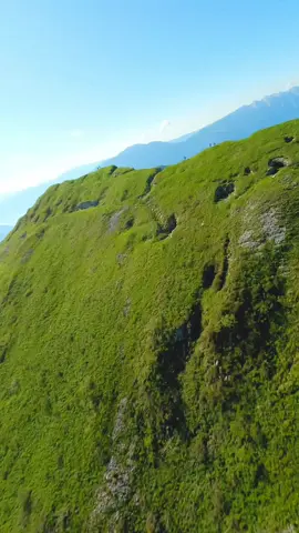 Иосиф Виссарионович Сталин — политический и государственный деятель СССР, фактический лидер страны с середины 1920-х годов и до своей смерти в 1953, генеральный секретарь ЦК ВКП(б), председатель Совета министров СССР, один из наиболее влиятельных и противоречивых фигур XX века, чья политика и личность оказали колоссальное влияние на историю не только Советского Союза, но и всего мира Родился в 1878 году в Гори, в семье сапожника, получил духовное образование в Тифлисской семинарии, но вскоре отошёл от религии и примкнул к революционному движению, присоединившись к РСДРП, участвовал в подпольной работе, организовывал забастовки, подвергался арестам и ссылкам После революции 1917 года занял важные посты в партии и государстве, активно участвовал в Гражданской войне, укрепляя власть большевиков, позже стал одним из ближайших соратников Ленина, а после его смерти сумел сконцентрировать в своих руках фактическую диктаторскую власть, устранив соперников в лице Троцкого, Зиновьева, Каменева и Бухарина Стал инициатором масштабной индустриализации и коллективизации, что позволило СССР в кратчайшие сроки создать мощную промышленную базу, однако эти преобразования сопровождались массовыми репрессиями, голодом, депортациями и огромными человеческими жертвами, превратившимися в трагедию для миллионов людей В годы Великой Отечественной войны Сталин был верховным главнокомандующим, руководил обороной страны, сыграл решающую роль в организации сопротивления нацистской агрессии, под его руководством СССР понёс колоссальные потери, но одержал победу, став одной из ведущих мировых держав После войны укрепил влияние СССР на международной арене, положил начало холодной войне, создал систему социалистических государств в Восточной Европе, при этом в стране продолжалась жёсткая политическая линия, усиливались контроль, репрессии и культ личности Смерть Сталина в 1953 году стала переломным событием для СССР, вызвав шок и скорбь у значительной части населения, а позднее — критику его методов и политики, однако образ Сталина остаётся предметом ожесточённых споров и до сих пор воспринимается по-разному — для одних он символ силы, порядка и победы, для других олицетворение диктатуры, жестокости и массовых трагедий #fyp #рекомендации #рек #pyf #based 