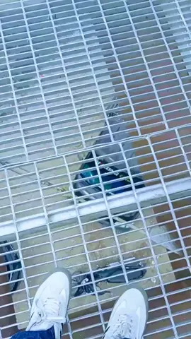 #kapan ni udara dingin#fypp 