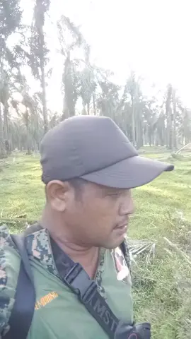 #pasangpikatburungtekukur  #fypシ゚viral  zonk juga hasil mikat hari ini paman