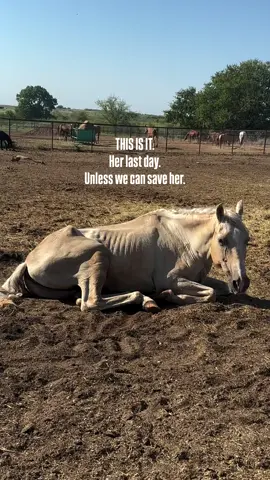 #sanctuary #fypシ #fyp 