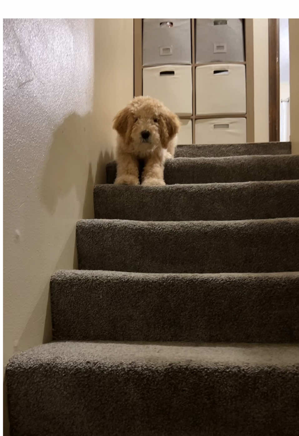 Buenos días 🌞 #morningvlog 