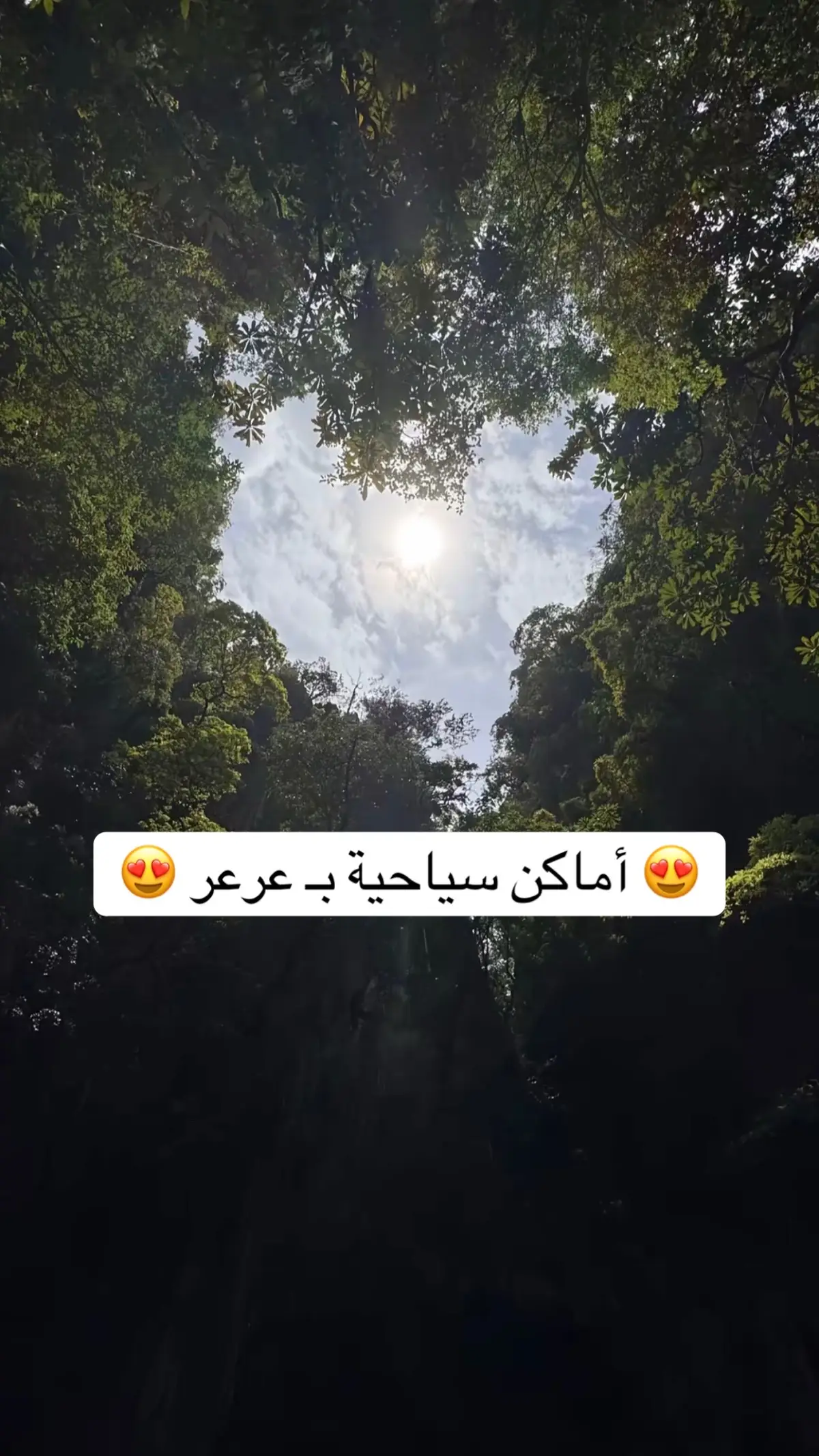 #saudinationalday91 #اليوم_الوطني_بعرعر #شارع_الخمسين  #شارع_الخمسين_عرعر 