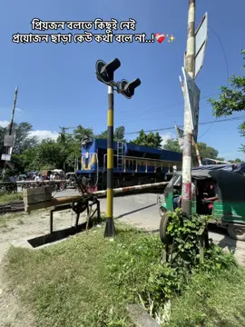 প্রিয়জন বলতে কিছুই নেই,প্রয়োজন ছাড়া কেউ কথা বলে না..!❤️‍🩹✨ #foryou #fyp #shahedafnan04 