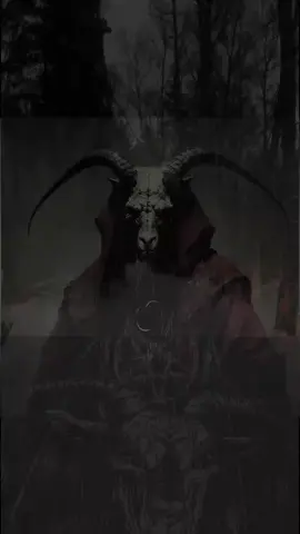 nocturnal depression #dsbm #darknature #blackmetal #metalhead #metaltok 