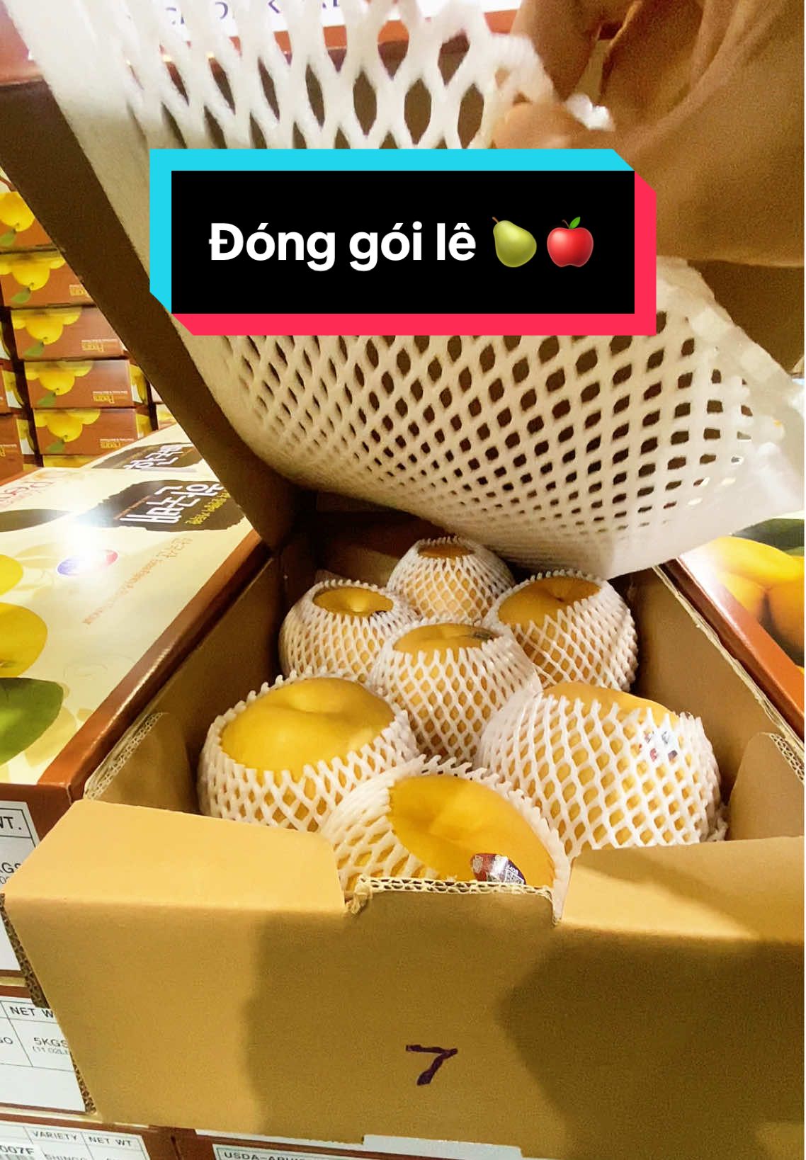 Đóng gói lê xuất khẩu Đang chính vụ lê làm luôn tay luôn chân 💪#langthangxuhan #vieclamhanquoc #lehanquoc 