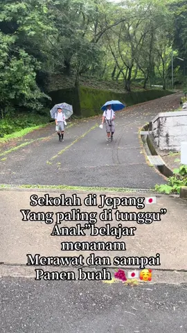 Yang buat anak”di Jepang cerdas dan IQ nya tinggi di Sekolah di Jepang 🇯🇵bukan hanya belajar materi tapi juga belajar secara langsung menanam ,merawat sampai masa panen  buah hari yg sangat di tunggu”🍇🇯🇵🥰 #japanese #anak #japan #fypシ゚ 