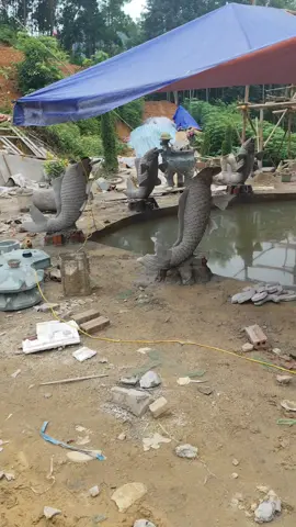 Cá chép tài lộc 🥰🥰🥰