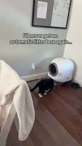 Once you go automatic… there’s no going back. My cat is obsessed with it.  Click the cart and get yours now.  #litterbox #catparent #catsoftiktok #catlover #cat 