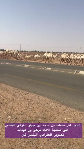 ابل مسلط بن ماجد بن جبار القرفي البقمي العفراني البقمي #هاشتاقات_تيك_توك_زيادة_مشاهدات #العفراني_البقمي #السعوديه 