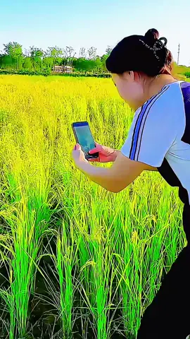 Cách quay video đẹp bằng điện thoại #quayvideobangdienthoai #quayphim #videotiktok 