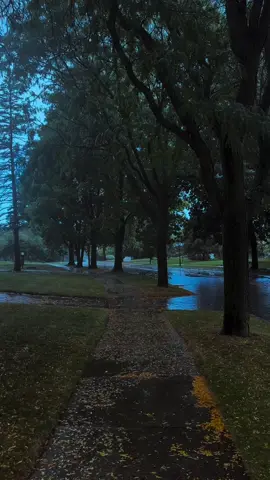 rainy walk 💙☔️  #fyp #nostalgia #rain #autumn #bluehour 