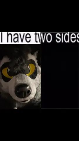 Which side do you prefer the most? 