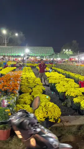 chợ hoa tết hoa 🌸🌸#tetvietnam #tetsumvay #tetnguyendan #tetmientay #xuhuongtiktok 