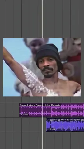 😂😂😂😂😂 #foryoupage #snoopdogg #dance #balet #laughing 