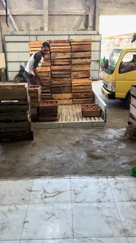 *misalnya nih pak/ibu*.?  Bapak/ibu ambil yang minimal pembelian 5 ikat (90) harga Rp. 1.250.000, Titip/Konsultasi Tidak Punya Modal' Jika Anda Punya Modal awal bayar ditempat. Trus saat mau order kedua nanti tinggal minta telur, pembayaran sesuai yang habis terjual dikirim seminggu dalam 2x, begitu.? #supplierhenhen #viraltiktok #peternakanindonesia #telurayamras #telurayamfresh 