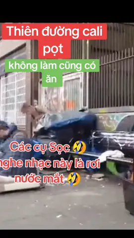 Thiên đường California giấc mơ Mỹ #xuhuong #humor #p #a 