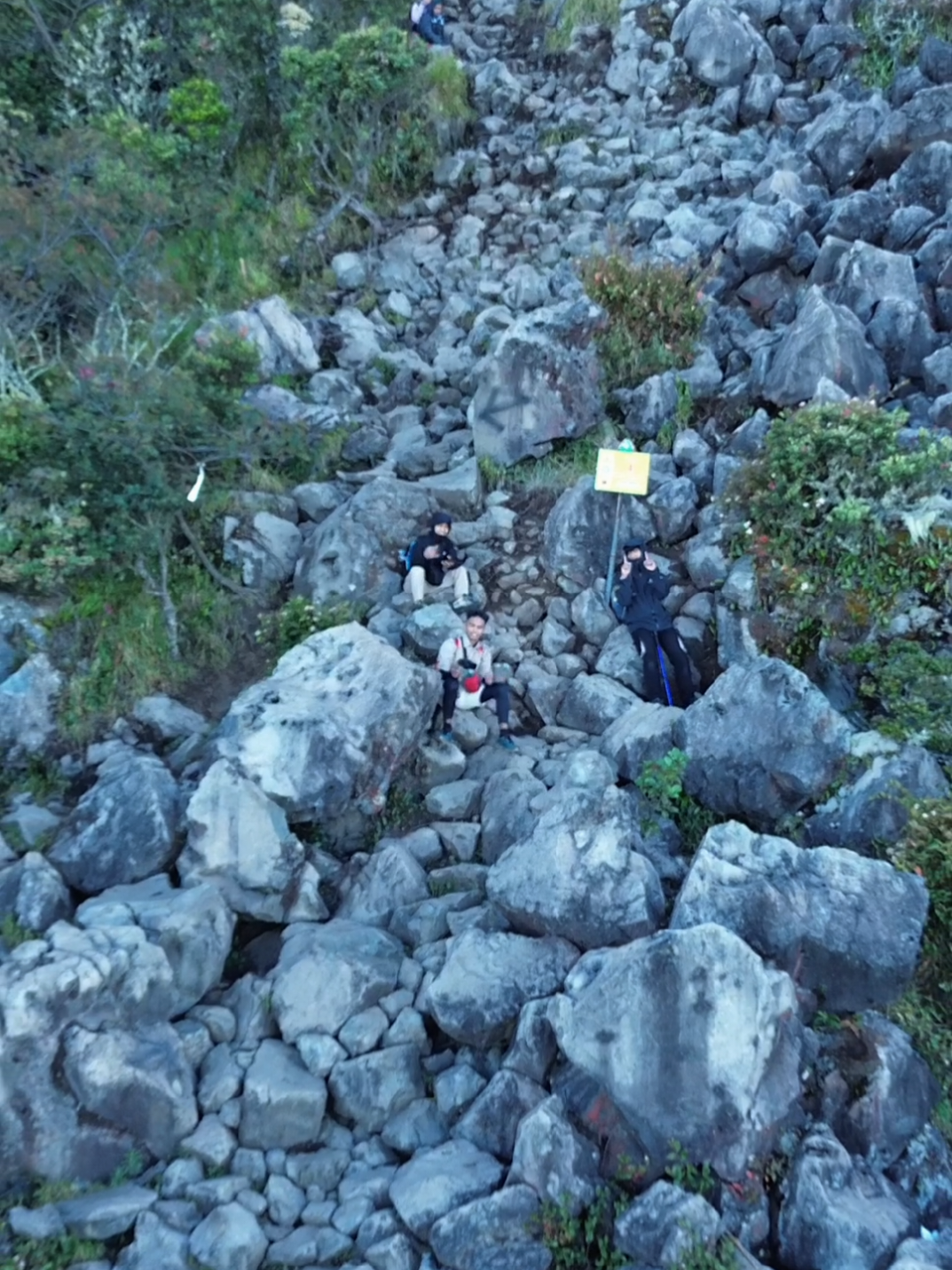 Lawu via Cemoro sewu landai kok, cocok buat pemula #cemorosewu #lawuviacemorosewu #lawu3265mdpl #lawumountain #lawu 